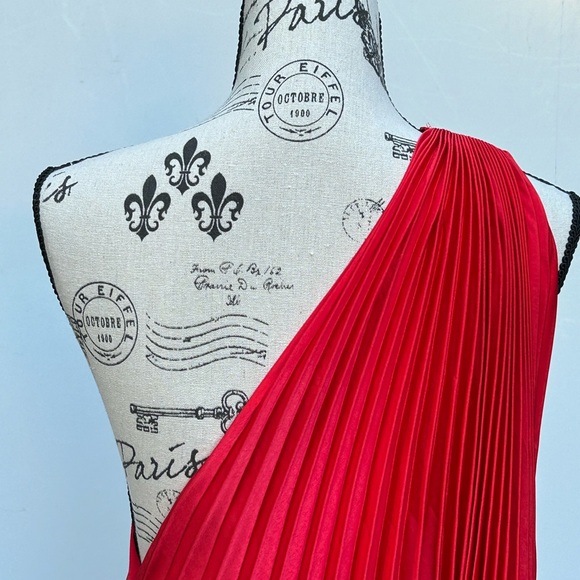 Lady in Red…Showstopper!!! Very Valentino. - Picture 15 of 16